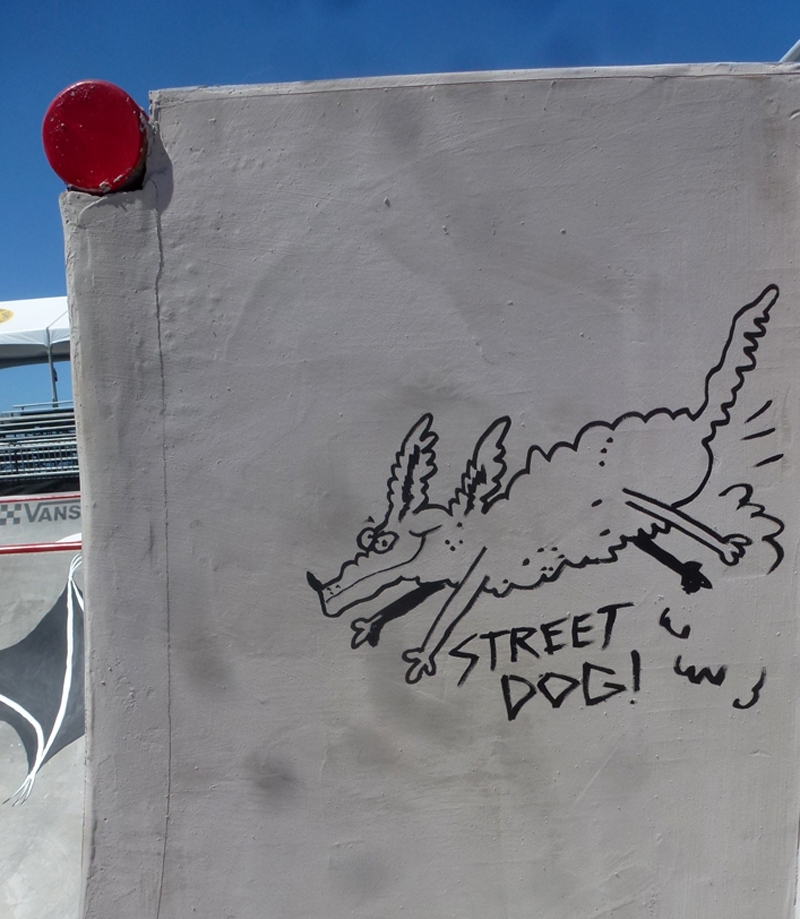 10 street dog&nbsp;&nbsp;&nbsp;© 