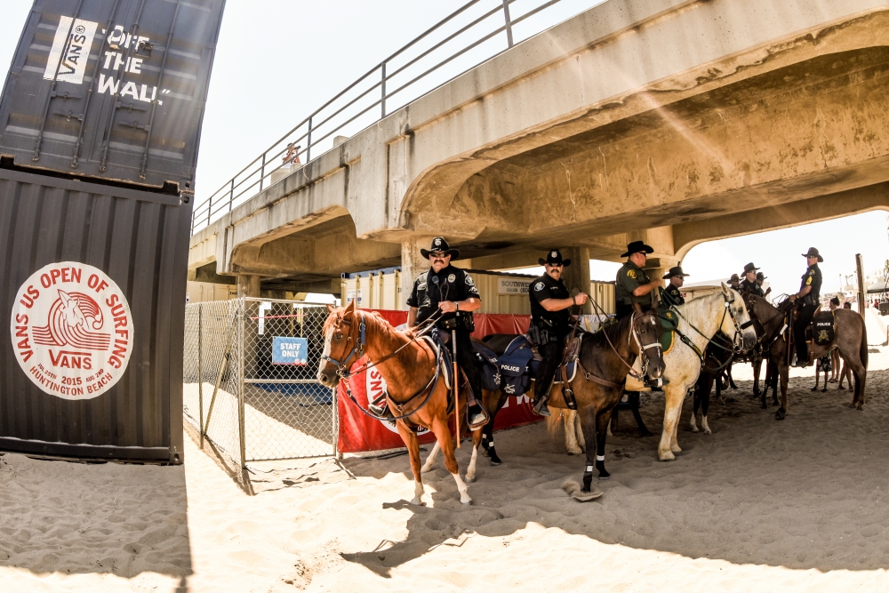 Horses.&nbsp;&nbsp;&nbsp;© Brandon Means
